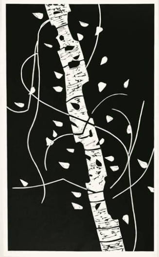 A black and white print of a birch tree trunk with thin wispy branches.