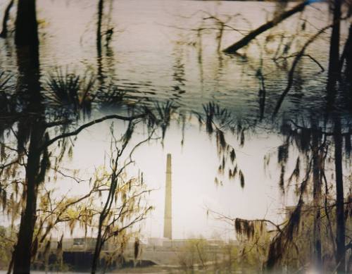 This photograph combines several different landscapes along the Altamaha River.