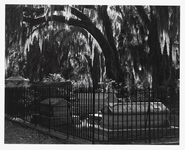 A corner of Bonaventure Cemetery featuring an iron fence around a cluster of stone monuments.