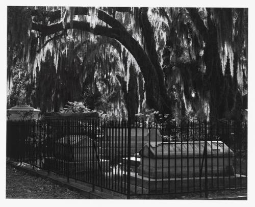 A corner of Bonaventure Cemetery featuring an iron fence around a cluster of stone monuments.