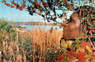 The profile of a woman's head surrounded by berry covered branches.  