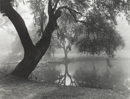 A black and white photograph of a landscape with an Oak tree in the left foreground with the br…