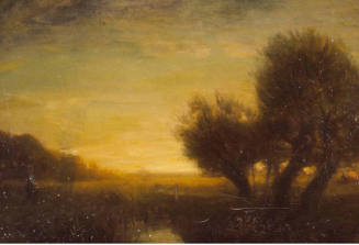 The Willows Landscape