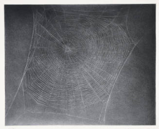 A black and white photograph with an imprinted drypoint spider web.

