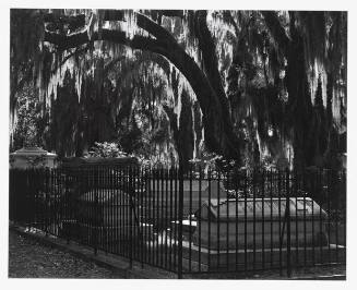 A corner of Bonaventure Cemetery featuring an iron fence around a cluster of stone monuments.