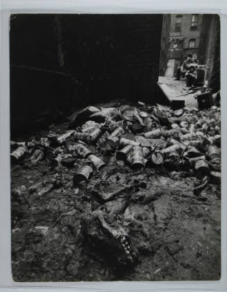 A pile of empty cans and a skeleton in an alley mud heap. 