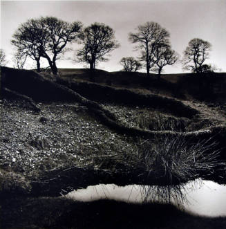 A black and white photograph of a landscape with trees on the horizon and a large tree root rea…