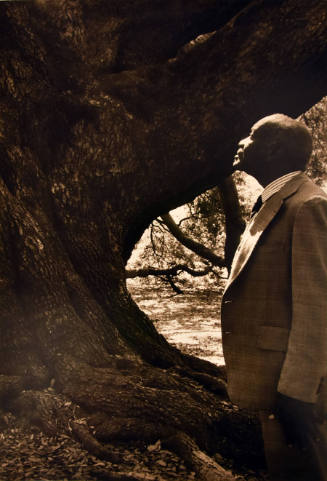 A man wearing a suit standing in profile next to the base of a large tree trunk.