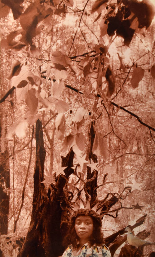 A woman wearing a crown stands under a low hanging branch populated with small paper stars.