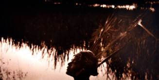 The head of a woman in profile wearing a fanned reeded headdress against a backdrop of still wa…