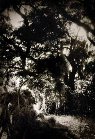 A woman at the bottom left corner covered in Spanish moss sits by a large oak tree.