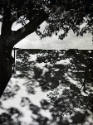 A black and white photograph of a tent covered with the shadow of the tree on the left. 