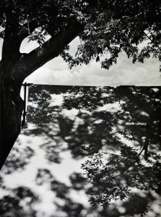 A black and white photograph of a tent covered with the shadow of the tree on the left. 