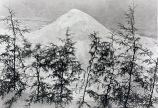A black and white photograph of a mountain peak with evergreen trees in the foreground.
