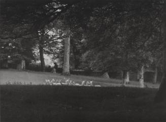 A black and white landscape photograph with white deer standing in a group behind a grassy knol…