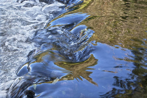 Dreisam River, Freiburg, Germany