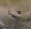 Maker's marks on the interior of the lid. 