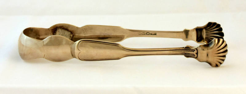 A pair of silver sugar tongs with a fiddle thread pattern shaft terminating in shell grippers.