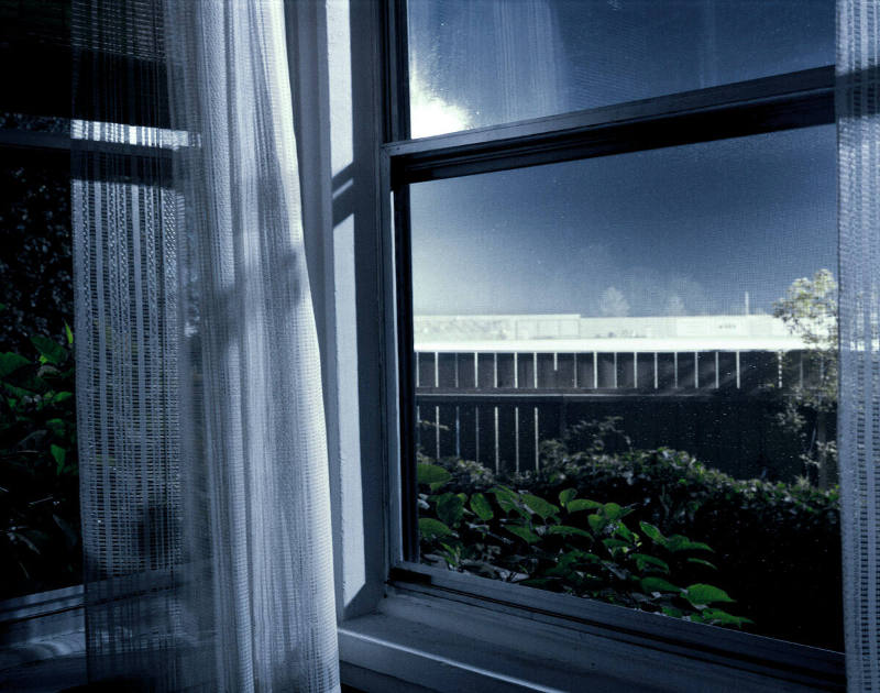 A photograph of a fenced yard through a corner window.