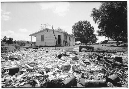 A black and white photograph of a sapling emerging from a garbage filled yard to the side of a …