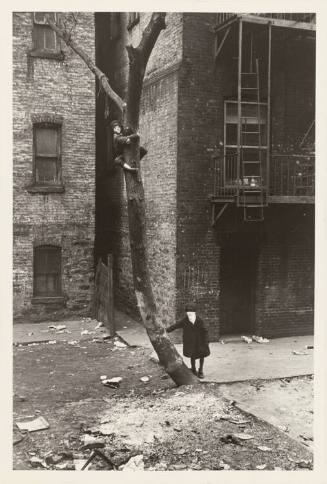 A boy wearing a mask is climbing a tree between two brick buildings.