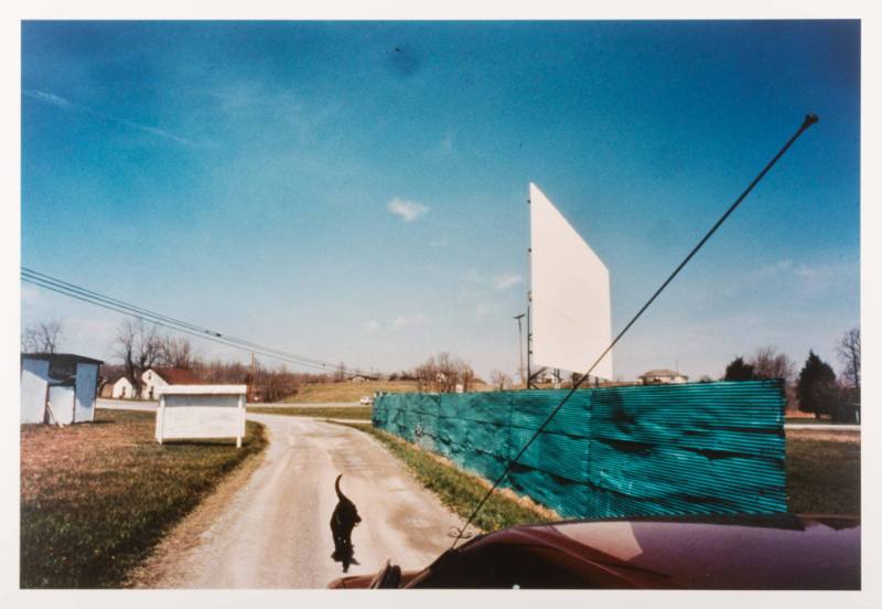 A black dog walks down a dirt lane towards a burgundy car parked behind a blue-painted corrogat…