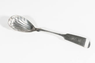 A coin silver sugar spoon with a shell-shaped bowl.