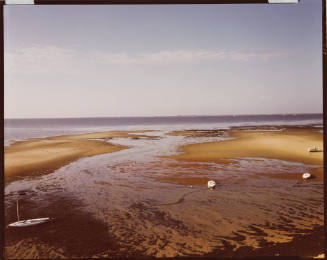 Marsh landscape with blue sky, golden marshes and four white boats.