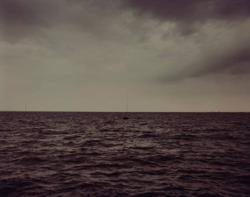 Adam Kuehl Photography