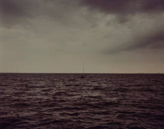 Adam Kuehl Photography