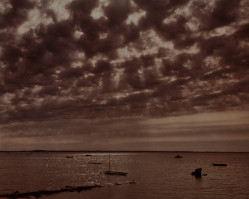 Adam Kuehl Photography