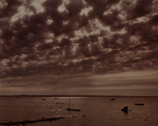 Adam Kuehl Photography