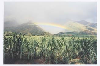 Near Olowalu, Maui