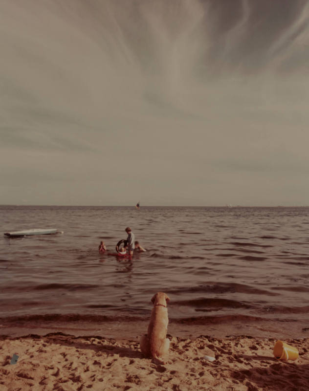 Adam Kuehl Photography