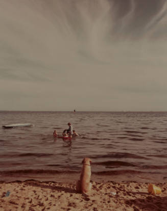 Adam Kuehl Photography