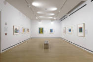 An installation shot of the prints lining the gallery walls. 