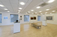 An installation shot of the #art912 gallery's southeast corner with two vitrines in the center …