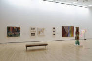 Installation shot of the west wall of Complex Uncertainties: Artists in Postwar America, rotati…