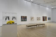 Installation shot of the west wall of Complex Uncertainties: Artists in Postwar America, rotati…