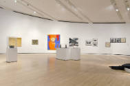 Installation shot of the northeast wall of Complex Uncertainties: Artists in Postwar America, r…