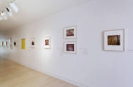 An installation shot of the photographs hung on the west wall of the second-floor corridor. 