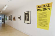 An installation shot of the title panel with introductory text next to a series of works in var…