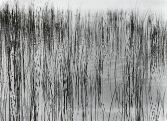 Adam Kuehl Photography