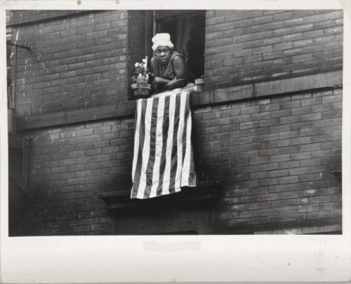 A black and white photograph of a woman leaning out of her window with a flower pot to her righ…