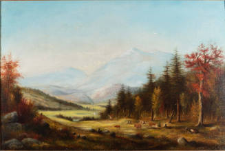 American Landscape