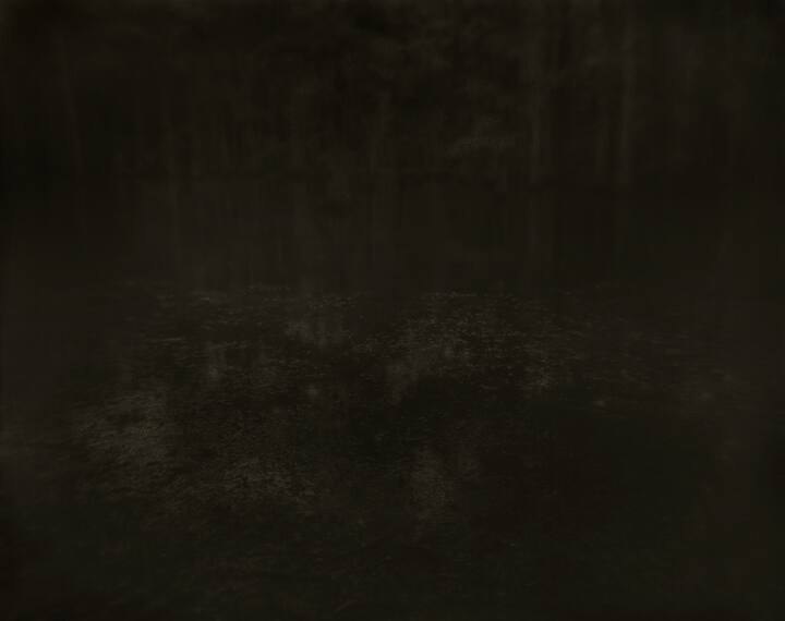 A black and white hazy image of water in the foreground and a horizon of trees in the backgroun…