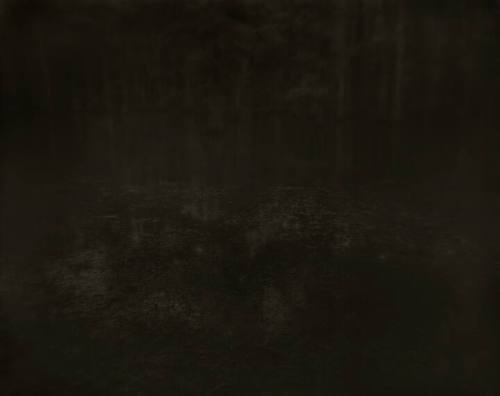 A black and white hazy image of water in the foreground and a horizon of trees in the backgroun…