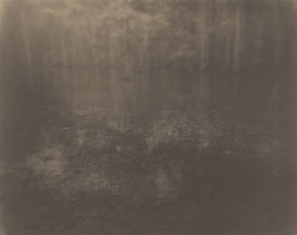 A black and white hazy image of water in the foreground and a horizon of trees in the backgroun…