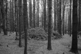 A black and white photograph of a mound of sticks in the middle of a forrest.

