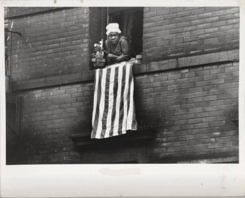 A black and white photograph of a woman leaning out of her window with a flower pot to her righ…